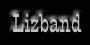 see the lizband